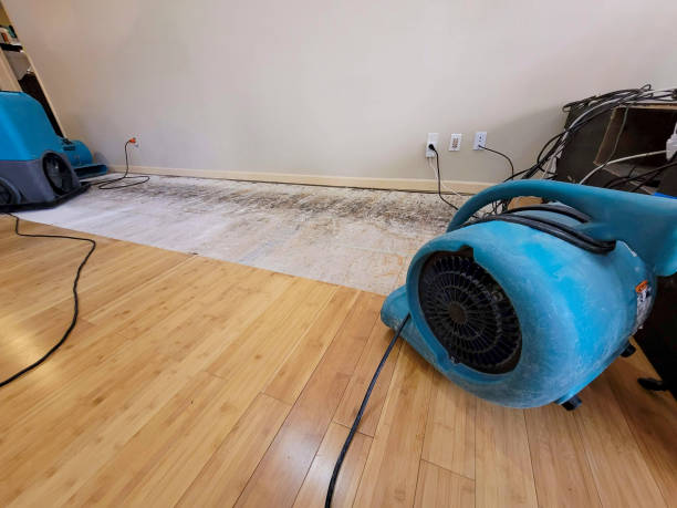 Professional Water Damage Repair technician working in Hummelstown, PA
